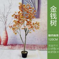 XU0612598